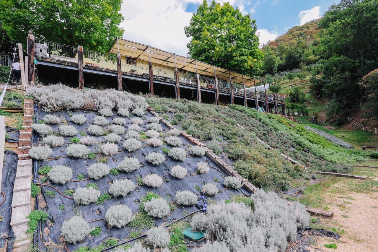 Agriturismo Ca' Fenile Alzano Lombardo Luaran gambar